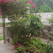 Apartamento en Casino Deportivo - Img 56873344