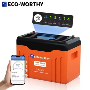 Batería ECO WORTHY 25.8V 100Ah - 2/2