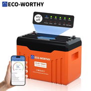 Batería 25.6V 100Ah Eco Worthy - Img 58270210