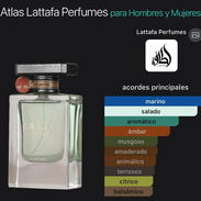 Atlas PERFUME - Img 58089210