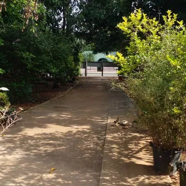 Venta de Casa en La Lisa San Agustín - Img 124411397