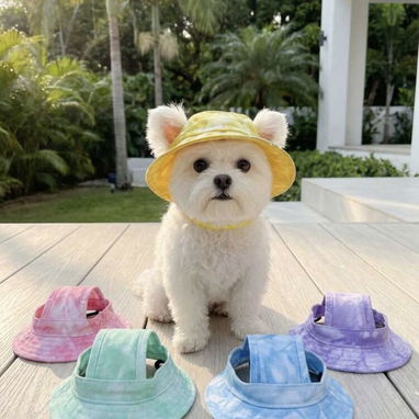 Ropa para perros - 3/9