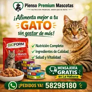 Comida Premium para Gatos con Entrega Gratis en La Habana (kinetica) - Img 56339067