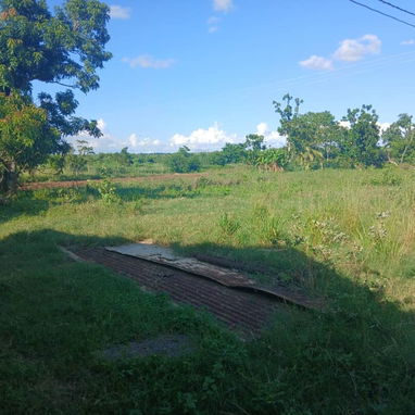 Vendo Finca en Artemisa - Img 122006208