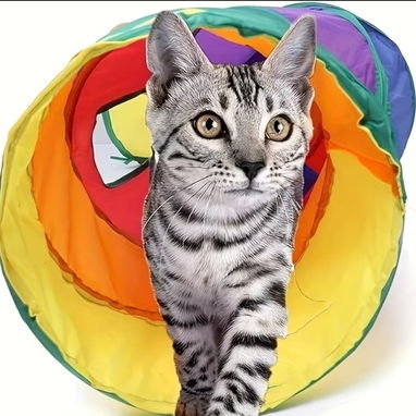 Túnel de colores para mascotas/ 2 vías - 5/5