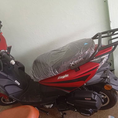 Moto automática 4T - 2/3