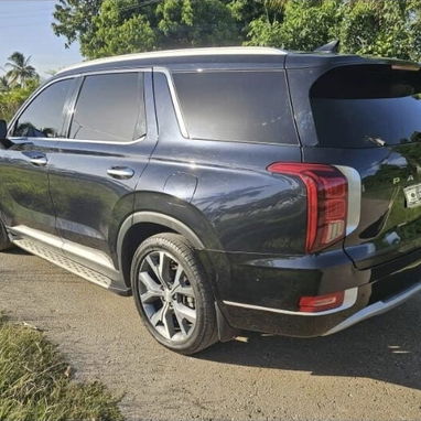 Hyunday Palisade límite 2020 - 2/6