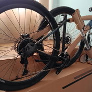 Bicicletas RALI R10 29 NUEVAS EN CAJA - Img 55075884