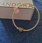 Vendo Pandora original rígida con su certifico de compra - Img 50016864