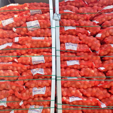 SACO DE CEBOLLA BLANCA IMPORTADA – 20 KG - 2/3