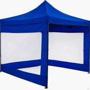 Carpas - Img 55570240