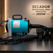 Secador profesional para mascotas 2800 w - Img 55333278