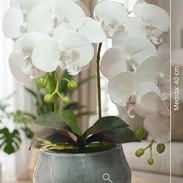 🌺Hermosas orquídeas decorativas en su base de cerámica. 💵$22 usd ✅40 cm de altura - Img 57422029