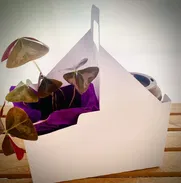 📦Cajas o envases decorados para llevar desayunos ☕️ - Img 50109310