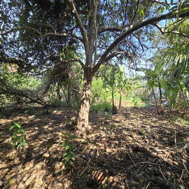 Terreno en celimar - 3/6