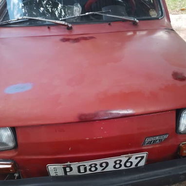 POLACO - 5/5