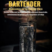 Buscamos bartender - Img 57349634