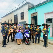 Mariachi Guadalajara - Img 56801530