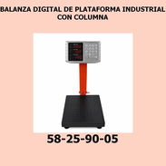 BALANZA DIGITAL DE PLATAFORMA INDUSTRIAL CON COLUMNA - Img 55727979