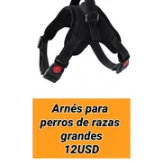 Arnés para perros - Img 47252898