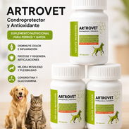 Artrovet para perros (Glucosammina con Condoitrina y multivitaminas) - Img 55669208