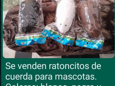 Ganga.Ratoncitos de cuerda para mascotas nuevos en su estuche y muy baratos si observa como están los precios en Cuba - Img main-image-45746341