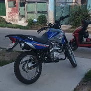 Ava tigrito - Img 58272814