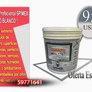 Pinturas Profesionales 🎨 Pinturas Profesionales de Alta Calidad $95 - Img 55771823