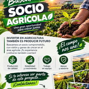 Empleo para Socio🍃📢 - Img 57326185