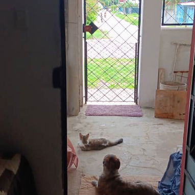 CASA CON PLACA LIBRE EN VENTA - Img 123230194