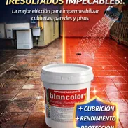 Pintura impermeabilizante y vinil y aceite - Img 55278654