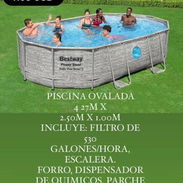 Pisvina ovalada - Img main-image-55667028