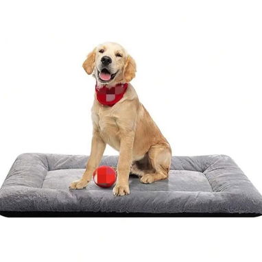 Venta de artículos para mascotas - Img 116391510