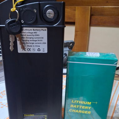 Batería de iones de litio de 48V20Ah, con Cargador, bicicletas eléctricas de 250 W, 350 W, 500 W, 700 W, 900 W, 1000 W. - 2/7