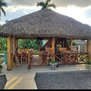 🌴RANCHÓNES, SOMBRILLAS, CASAS, ETC🌴 - 10/10
