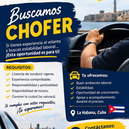 Buscamos chofer - Img 57641091
