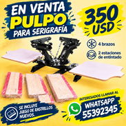 Pulpo de serigrafia nuevo - Img 57985004