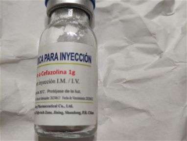 Cefazolina bulbo 1g - Img main-image