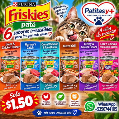 Comida para mascotas - 2/3