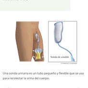 Colector con condon para hombres encamados - Img 56386784