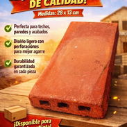 Venta de ladrillos y rarcillas - Img 56039945