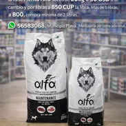 Pienso Alfa x libras y sacos de 4kg - Img 54904608
