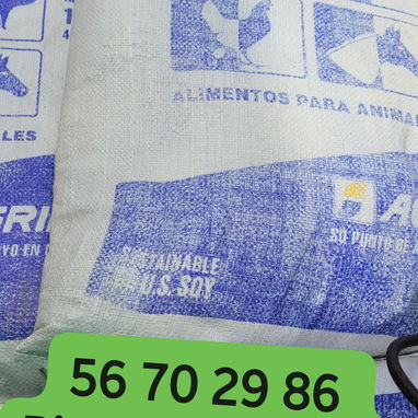Vendo piensos para puercos y gallinas ponedoras - Img 125121865