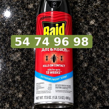 Raid spray para hormigas y cucarachas 17.5 oz - 3/3