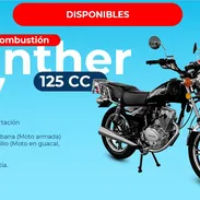 Motos de Combustión Panther - Img 54595197