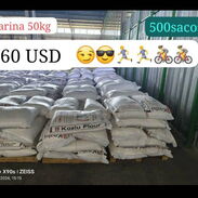 500 sacos de harina de 50Kg. 60 USD - Img 45601188