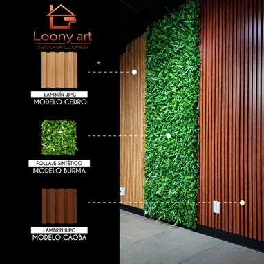 Construcción y Remodelación - Img 122424906