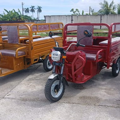 Venta de triciclos eléctrico - 5/8