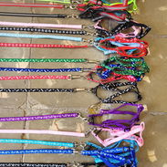 Correas para tus mascotas diferentes tallas y tipos - Img 56208488