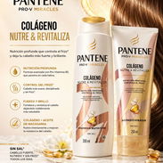KIT PANTENE COLÁGENO SIN SAL - Img 44050063